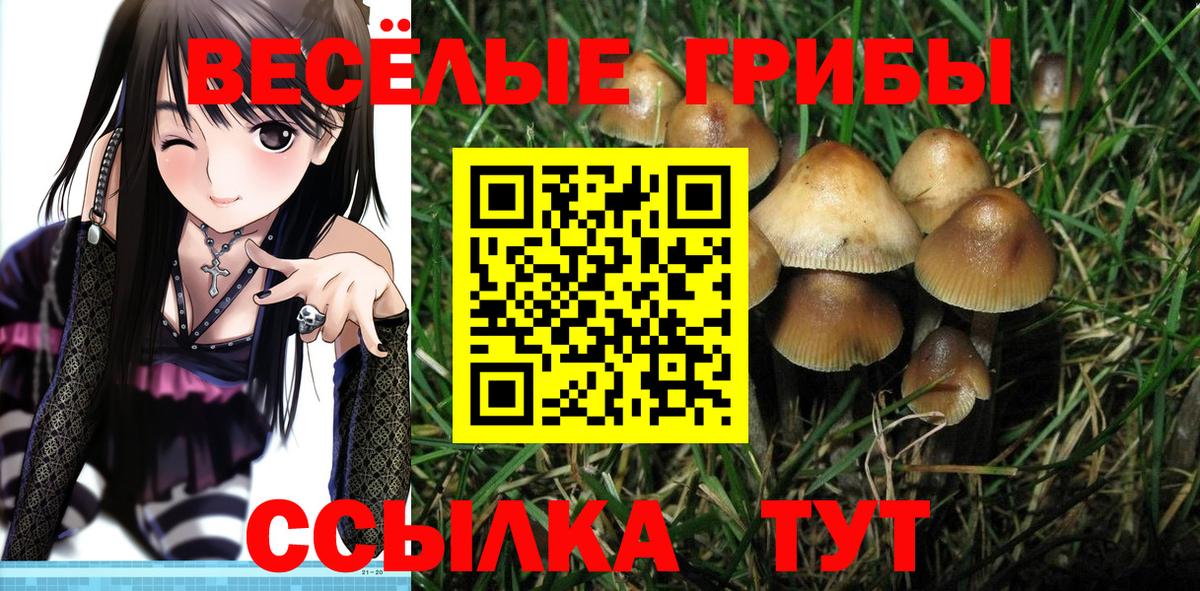Псилоцибиновые грибы ЛСД Кунгур