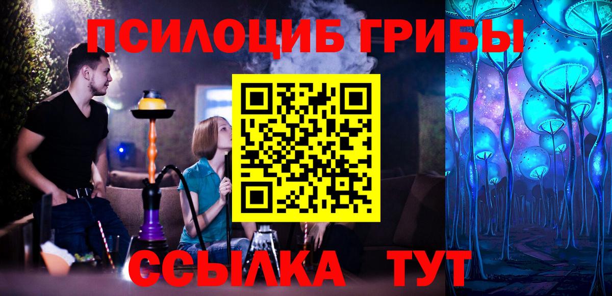 Кунгур  Псилоцибиновые грибы Cubensis  Вход с VPN 